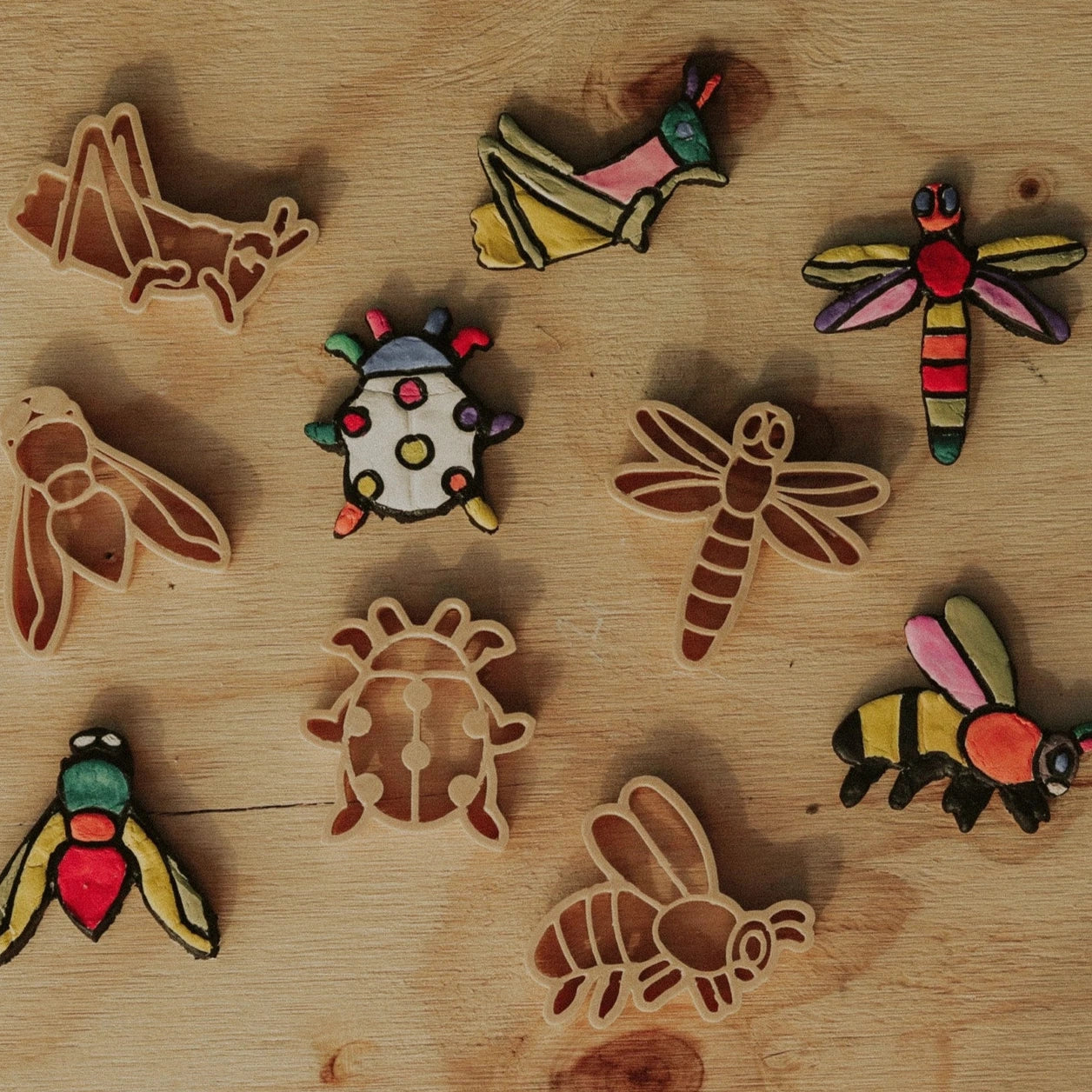 Mini Insect Eco Cutter™ Set